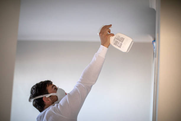 Professional Mold Removal in Fowler, IN