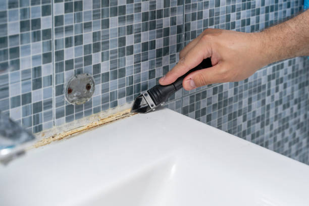 Best Mold Removal Company Near Me  in Fowler, IN
